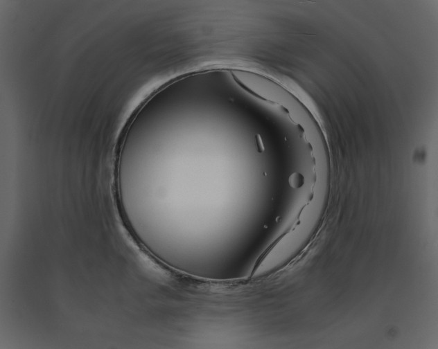 X0000090901005200708270940