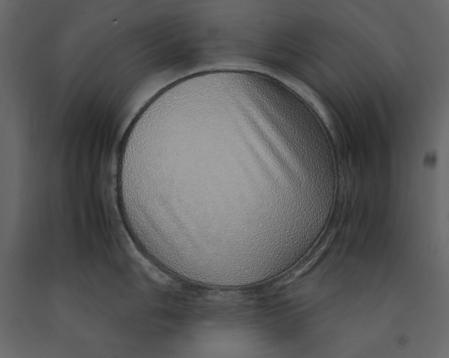 X0000090901006200708270940