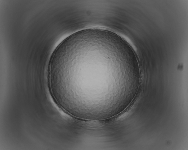 X0000090901007200708270940