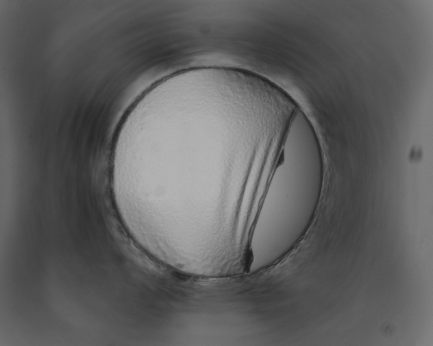X0000090901008200708270940
