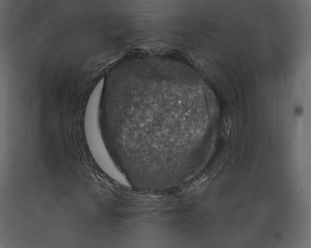 X0000090901010200708270939