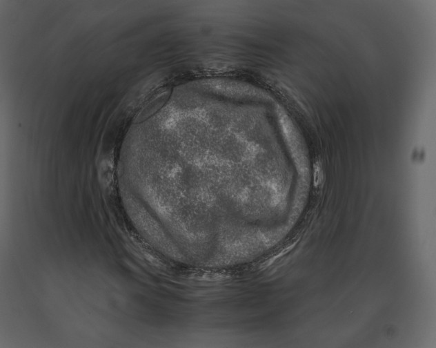 X0000090901011200708270939