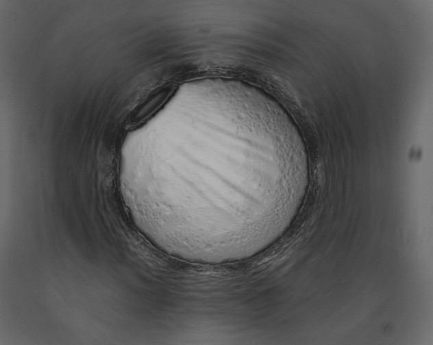 X0000090901012200708270939