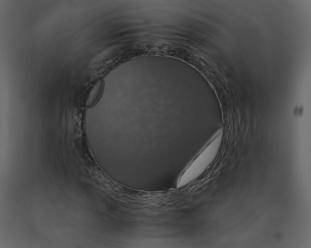 X0000090901013200708270939