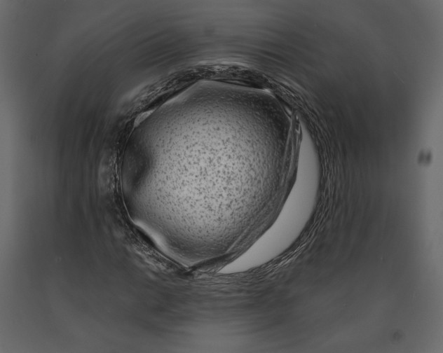 X0000090901014200708270939