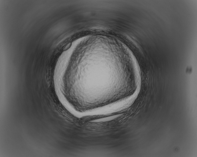 X0000090901015200708270939