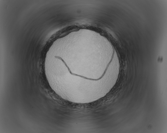 X0000090901016200708270939