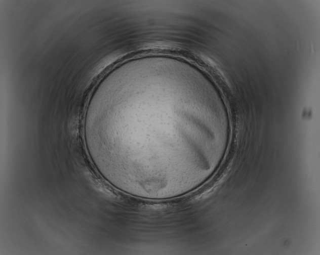 X0000090901017200708270939