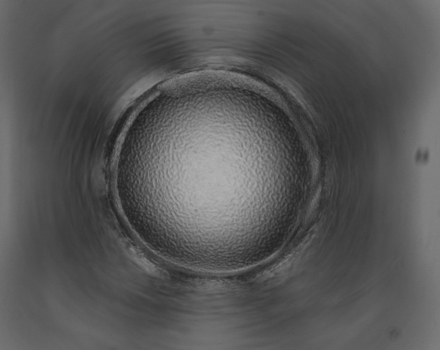 X0000090901018200708270939