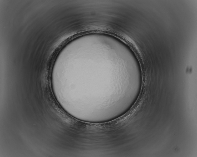 X0000090901019200708270939