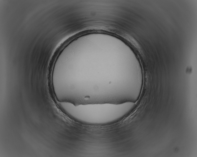 X0000090901020200708270939