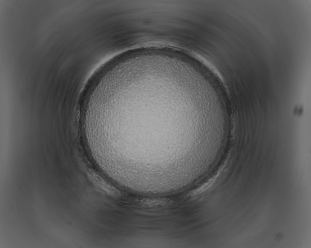 X0000090901021200708270939