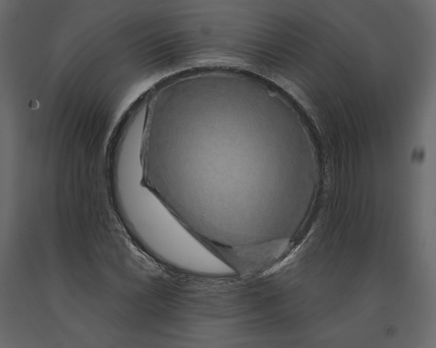 X0000090901022200708270939