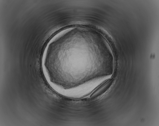 X0000090901025200708270939