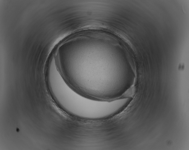 X0000090901026200708270939