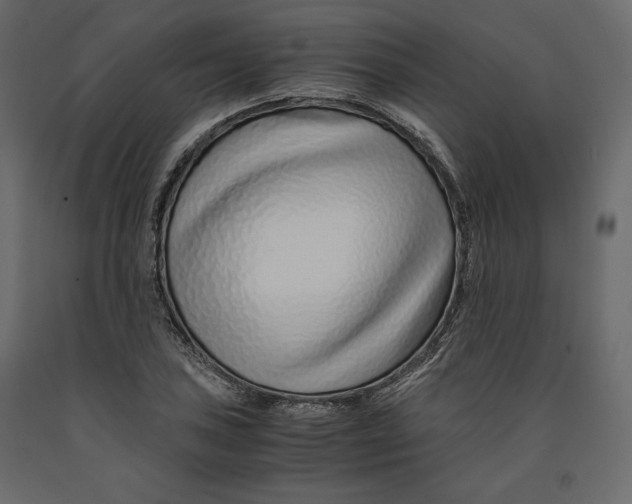 X0000090901027200708270939