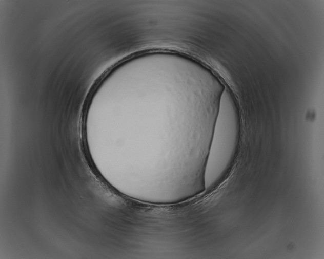 X0000090901028200708270939