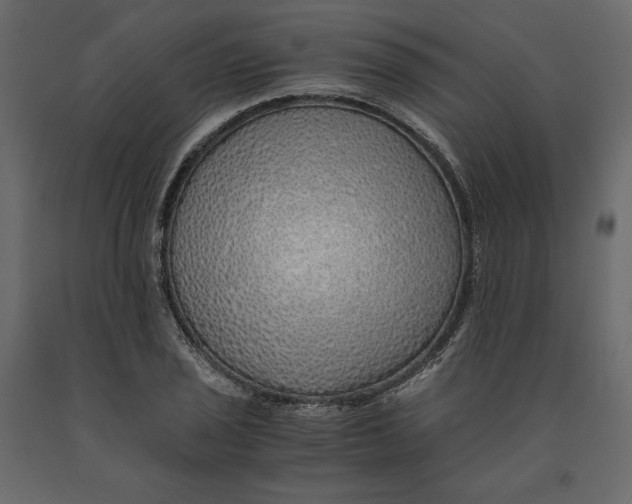 X0000090901029200708270939