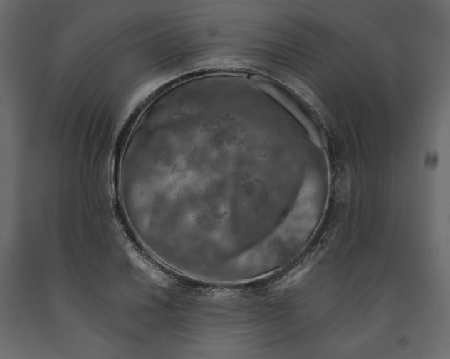 X0000090901030200708270939