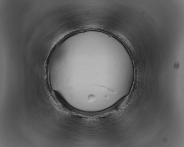 X0000090901031200708270939