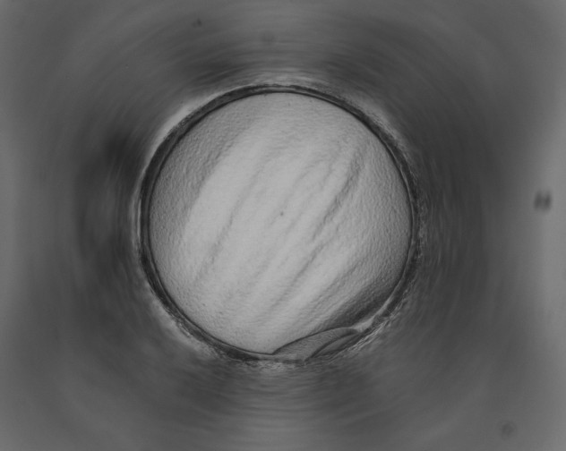 X0000090901032200708270939
