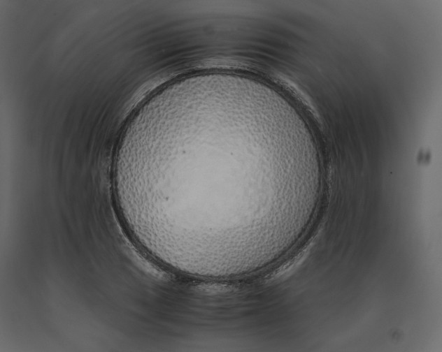 X0000090901033200708270939