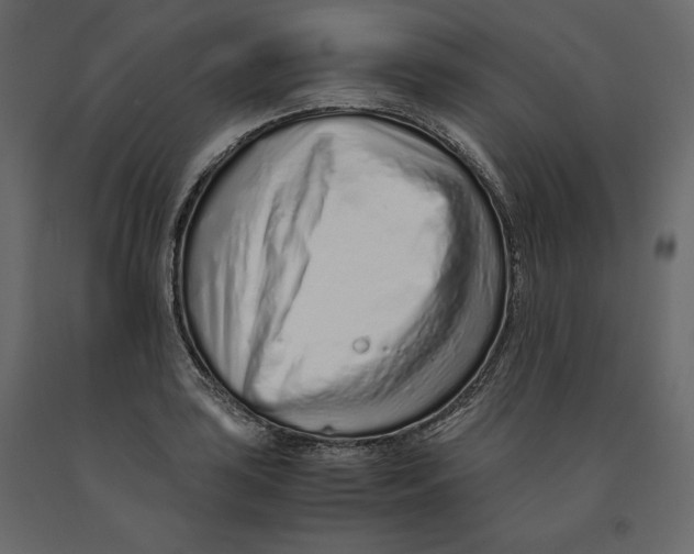 X0000090901035200708270939