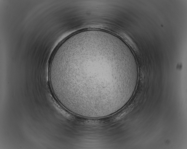 X0000090901036200708270939