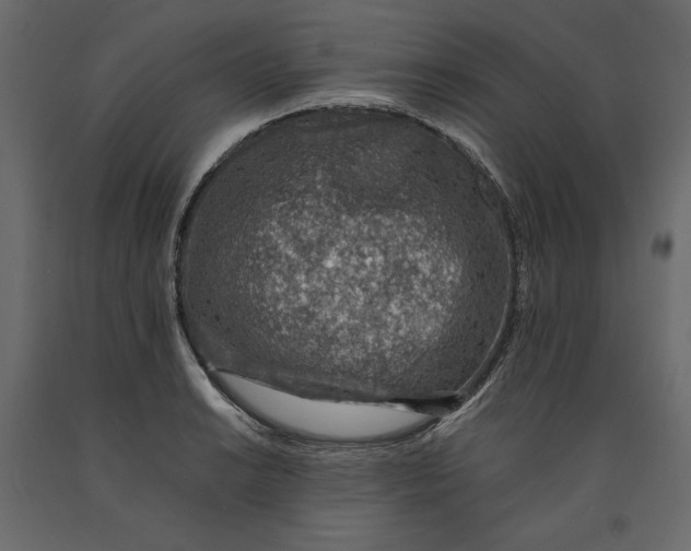X0000090901038200708270940