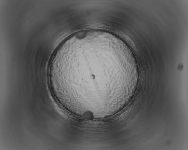 X0000090901039200708270940
