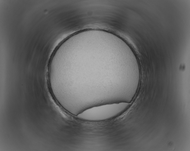 X0000090901040200708270940