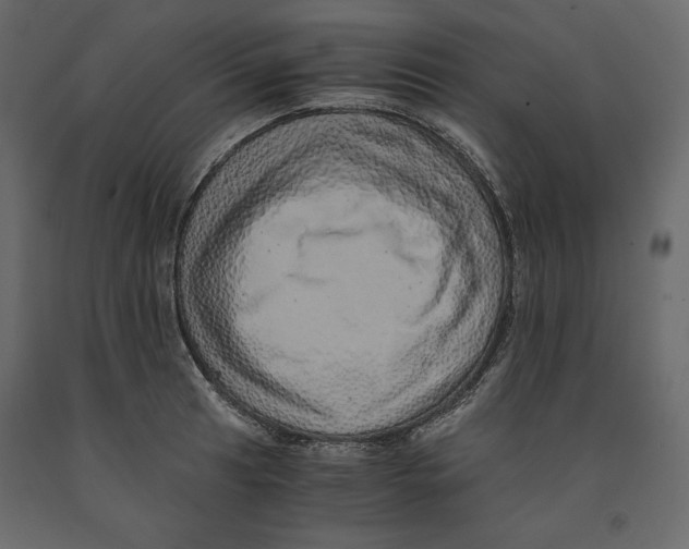 X0000090901041200708270940