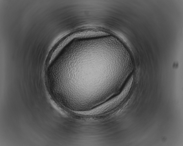 X0000090901042200708270940
