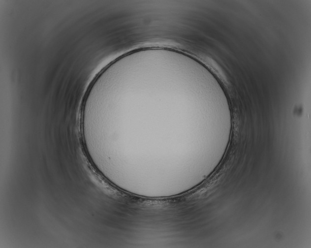 X0000090901044200708270940