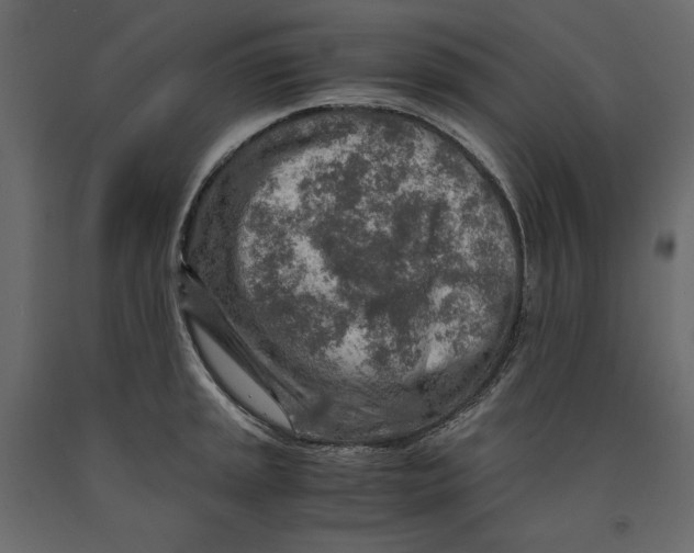 X0000090901045200708270940