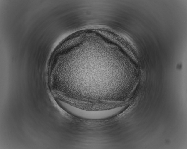 X0000090901046200708270940