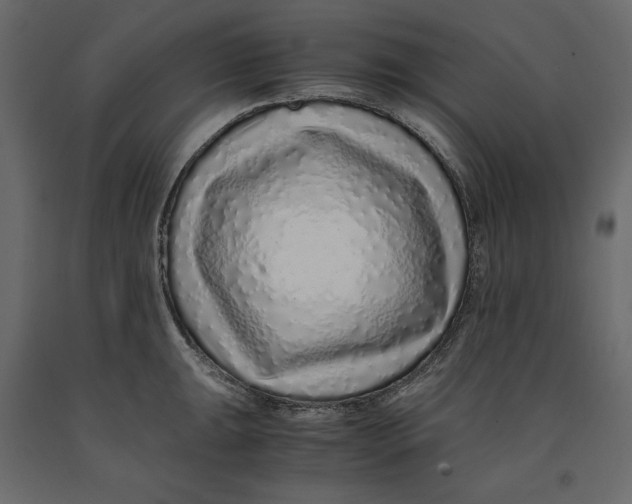 X0000090901047200708270940