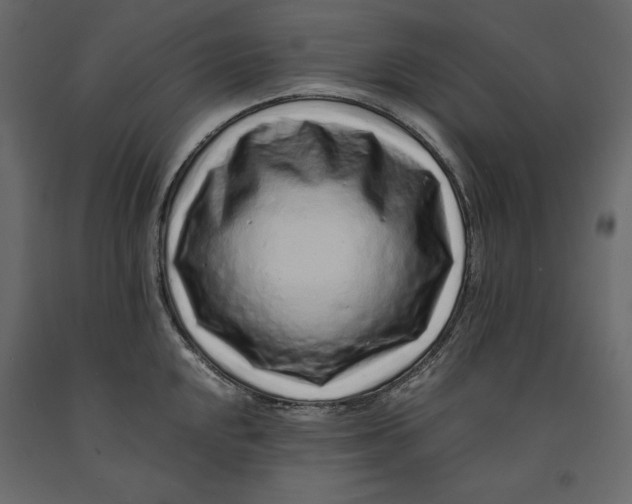 X0000090901048200708270940