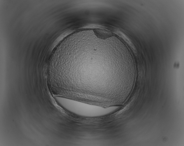 X0000090901049200708270940