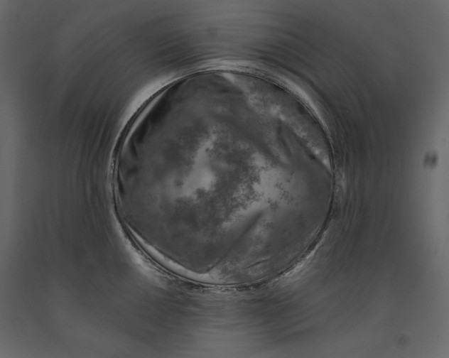 X0000090901050200708270940