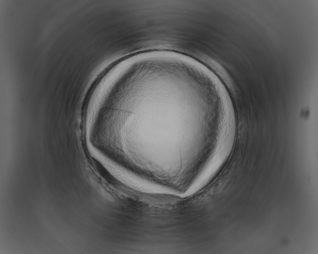 X0000090901051200708270940