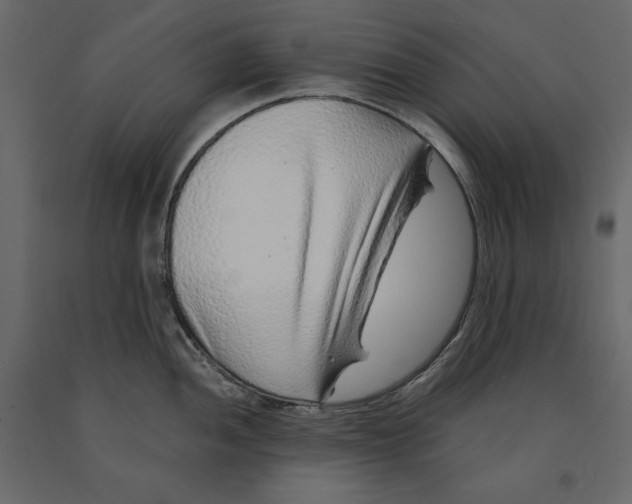 X0000090901052200708270940