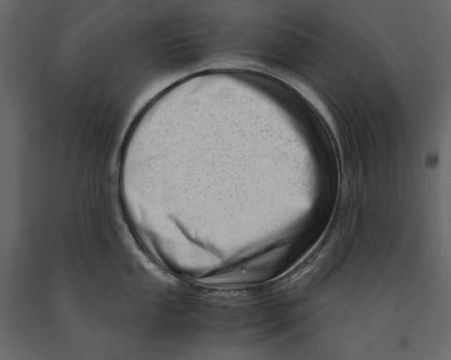 X0000090901053200708270940