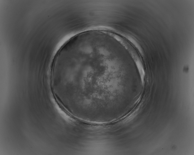 X0000090901054200708270940