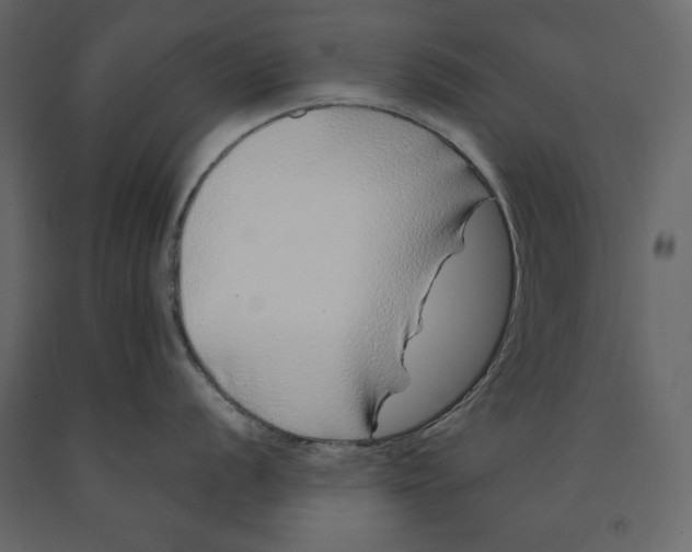 X0000090901056200708270940