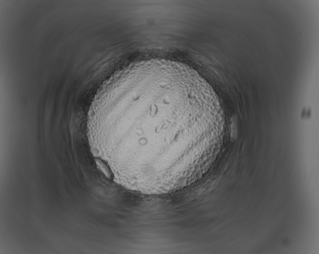 X0000090901059200708270939