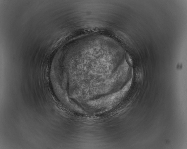 X0000090901060200708270939