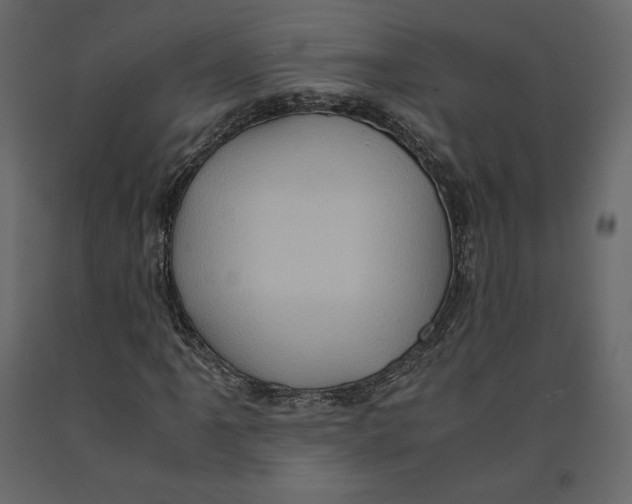 X0000090901061200708270939