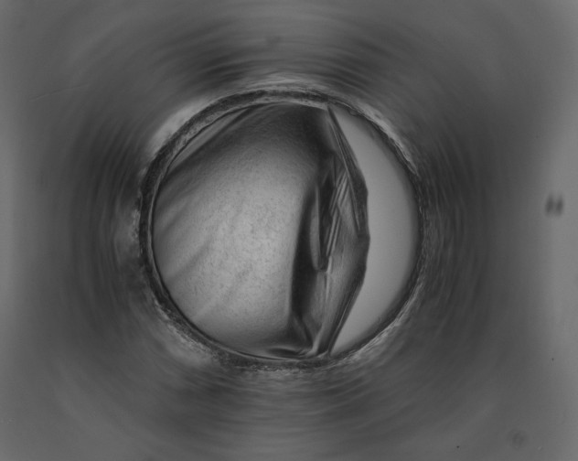 X0000090901066200708270939