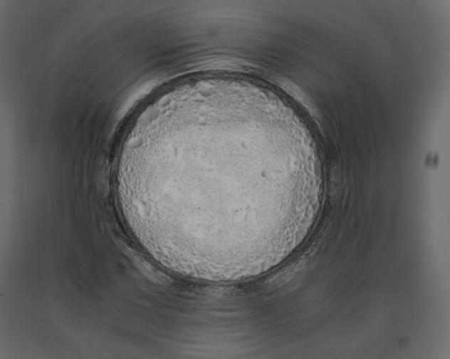 X0000090901067200708270939